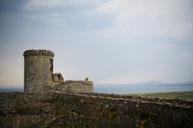 dsc_0390c.jpg