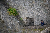 dsc_0425c.jpg