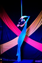 dsc_2454c.jpg