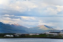 dsc_9354c.jpg