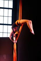 dsc_8460c.jpg