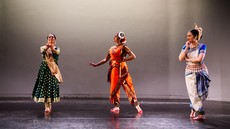 dsc_5310c2.jpg