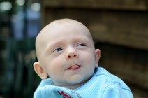 dsc_1705c.jpg