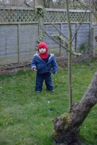 dsc_8308c.jpg