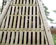 dsc_1127c.jpg
