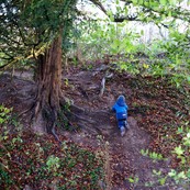 dsc_6628c.jpg